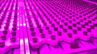 B4HydroGrow - Growing lettuce vertically and on water with Bosman Van Zaal