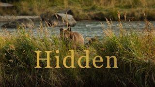 Hidden