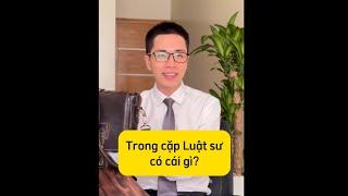 Trong cặp luật sư có gì? Những vật dụng hữu ích trong quá trình mình làm luật sư