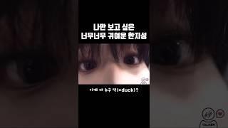 [스키즈/한] 세계최쵸 말랑뽀댝 햄찌 초근접샷 +뽀뽀 보세요 ( ⸝⸝⸝ʚ̴̶̷̆ωʚ̴̶̷̆⸝⸝) 완전 킹랑스러움 #스키즈 #스트레이키즈 #skz #straykids #한 #한지성