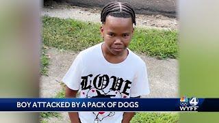 Mother, neighbor of SC boy mauled by dogs while walking to bus share pain