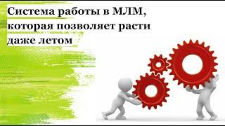 Система работы в МЛМ, которая позволяет расти даже летом 