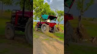 #tatar #tatarvideo #shorts #viral #massey #masseyvideo #masseylover #jat #jaat #jaat jamidar