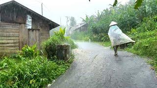 Heavy rain, strong winds in the village||Indonesian rural atmosphere||rain video