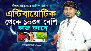 এন্টিবায়োটিক থেকে  ১০ গুণ বেশি শক্তিশালী পাতা | Dr.Rudro Biswas