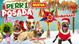 NUEVA PERRI POSADA OSO PIÑATERO🪅KARAOKE PERRUNO ¡CON MI PERRITO SABANERO!  | Conny Merlin