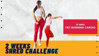 10 Min FAT BURNING CARDIO | 2 Weeks Shred Challenge | Workout With WInt