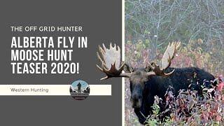 Fly In Trophy Moose Hunt Teaser! MOOSE | THE OFF GRID HUNTER