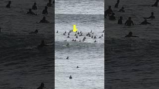 Local Legend  Rizal Takes Wave From The Pack #surfing #balisurf #surfers