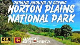 Driving from Horton Plains to Nuwara Eliya | හෝටන් තැන්න | ஹோட்டன் சமவெளி