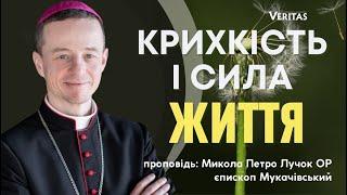 Крихкість і сила життя. Проповідь: Микола Петро Лучок ОР, єпископ Мукачівський