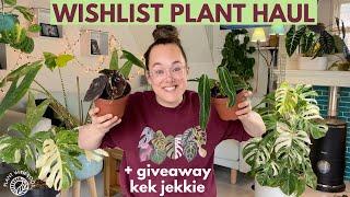 Wishlist Plant HAUL + Giveway tip ft Kek Jekkie | Plant with Roos