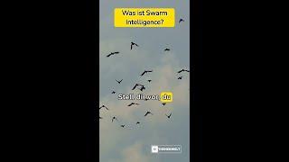 Was ist Swarm Intelligence?