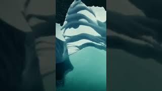 wandering glaciers on the ocean