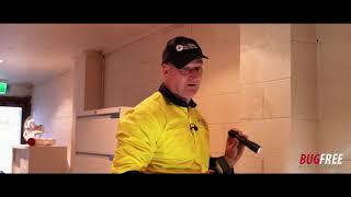 PROCESS OF A TERMITE INSPECTION & CONTROL - BugFree Pest Control Sydney