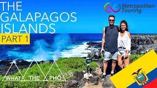 BEST WAY to TRAVEL the GALAPAGOS ISLANDS with Metropolitan Touring | Part One