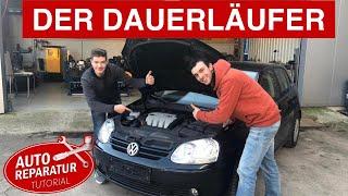 JA zum Diesel? | Der Wohl Beste VW Motor Aller Zeiten ! | 1.9 TDI Kaufberatung