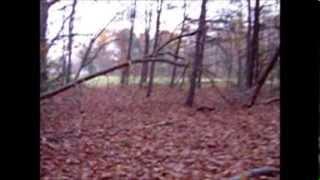 Land for Sale in King George, VA