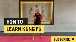 The Correct Way to Learn Traditional Kung Fu Systems