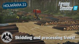 MAKING THE BIGGEST LANDING EVER!? | FS22 | Forestry | Holmåkra 22 | Timelapse | E12