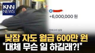 "회사 가서 낮잠 자고 게임하고..." 월급 600만 원 직업의 비밀 / KNN