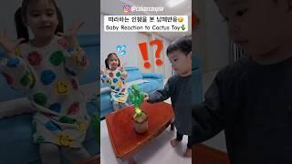 말하는 선인장을 처음 본 남매반응ㅋㅋㅋ #shorts