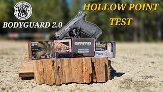 BODYGUARD 2.0 HOLLOW POINT TEST