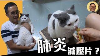 肺炎減壓片1.0｜feat.肥肥