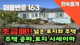 [매물번호 163]초급매!!!넓은 토지와 주택, 주택공짜, 토지 시세이하 #밀양부동산 #밀양촌집 #밀양전원주택 #촌집 #전원주택 #창고땅