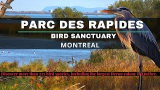 Parc des Rapides || Montreal || A must see tourist attraction || St. Lawrence River