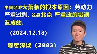 中国经济大萧条的根本原因：“劳动力严重过剩”，这是北京 严重政策错误 造成的. (2024.12.18) 《森哲深谈》