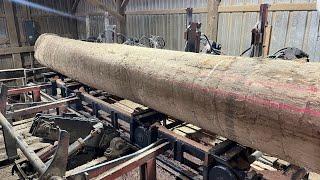 Saw-Milling Big Beautiful Red Oak, After Another Long Breakdown! Re-placing the Edger Bearings! #167