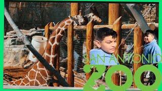 San Antonio Zoo. 2023  Texas