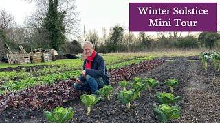 Dark days, bright leaves, seeds and compost