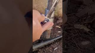 Fix Leaking Pipes In Minutes! How to Use a Pipe Repair Clamp #shorts