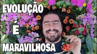 POR QUE ACHAMOS FLORES TÃO BONITAS? (#Pirula 384)