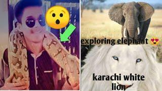 Exploring one of the best Zoo in PAKISTAN | Zain wahab vlogs | #movlogs #zoovlogs #whitelion