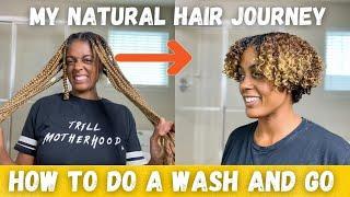 How To Define and Moisturize Curls on Natural Hair | Type 4a Wash and Go Routine w/Curly Magic Gel