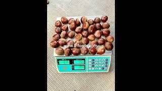 2022 New Crop Hot Sale Fresh Vegetable Chinese Fresh Chestnut#