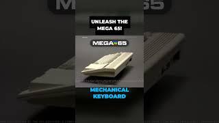 Part I: MEGA 65 Intro