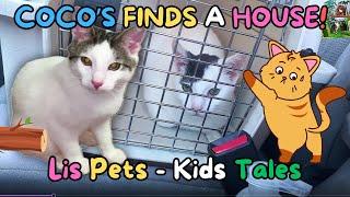 Coco finds a house and a surprise - Kids Tales