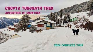 Chopta Tungnath Uttrakhand | Chopta to tungnath trek