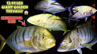 eps.239 13.44LBS GIANT GOLDEN TREVALLYHALIMAW SA LAKI AT KAWAN NG TREVALLY #fishing #fish #gopro