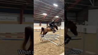 What to do?  #horse #pferde #equestrian #horses #showjumping #crazy #funny #trending #hest #cheval