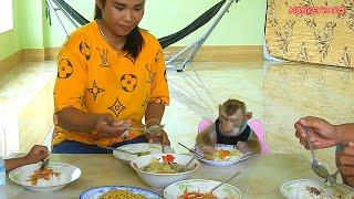 Adorable Monkey Kako Joining Lunch With Family