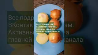 Зелёный ЛУК НА ПЕРО Как выбрать репку #дача #огород #зеленыйлук #лукнаперо #помидоры