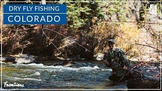 Taylor River Dry Fly Eat