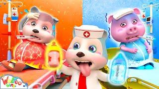 Mommy Got a Hot Or Cold Baby? Boo Boo Pregnant Song | Baby Song & Nursery Rhymes | Wolfoo Kids Songs