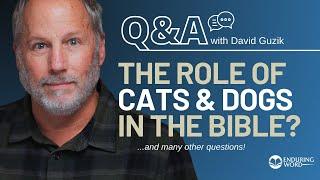 How Are Dogs & Cats Depicted in the Bible? Weekly Q&A: Nov 7th w/ Pastor David Guzik