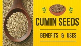 Benefits and Uses of Cumin Seeds that Will Surprise You!